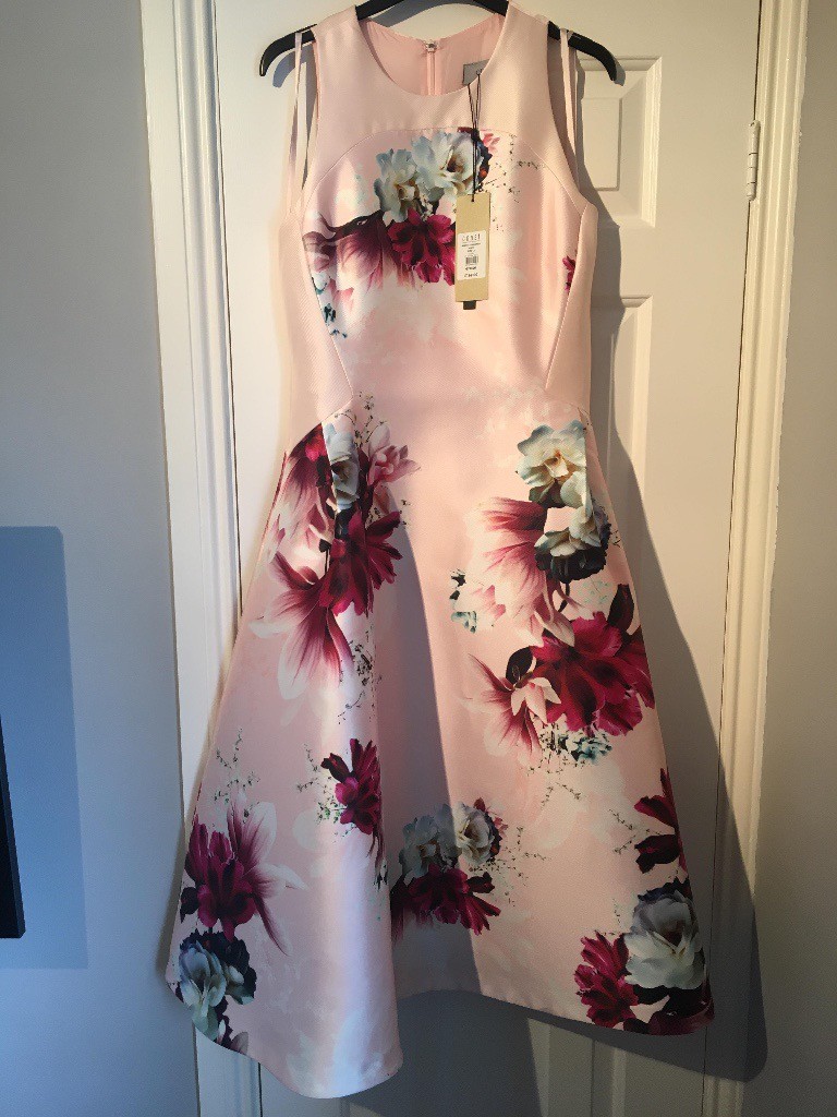 coast pale pink dress